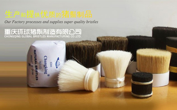 Exhibitor Recommendation: Chongqing Global Bristles Manufacturing Co., Ltd. (Booth No.N5B01)